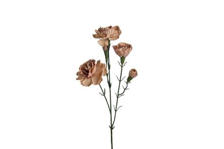 Nellik stilkblomst - Grønn/Mørk beige H65 cm