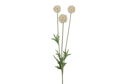 Scabiosa stilkblomst - Grønn/Mørk beige H60 cm