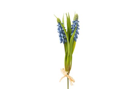 Hyacinth stilkblomst - Grønn/blå H20 cm