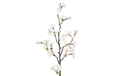 Kirsebærblomst kvist - Grønn/hvit. H60 cm