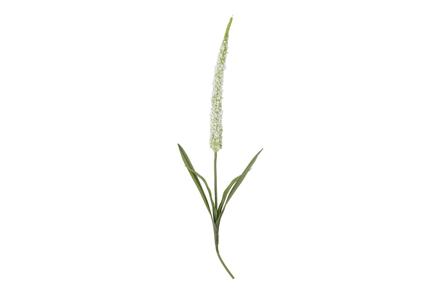 Foxtail stilkblomst - Grønn og hvit H73 cm
