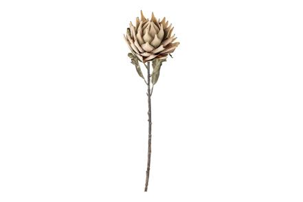Protea stilkblomst - Natur/beige H76 cm