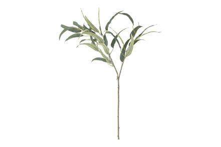 Eucalyptus kvist/stilkblomst - Grønn H85 cm