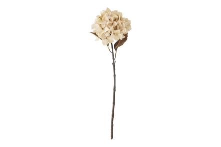 Hortensia stilkblomst - Natur/beige H65 cm