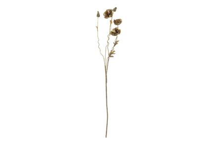 Valmue stilkblomst - Brun-beige H104 cm