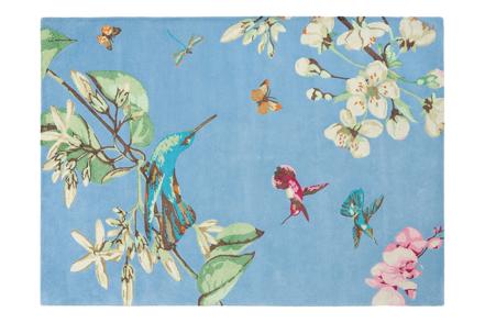 Wedgwood Hummingbird teppe