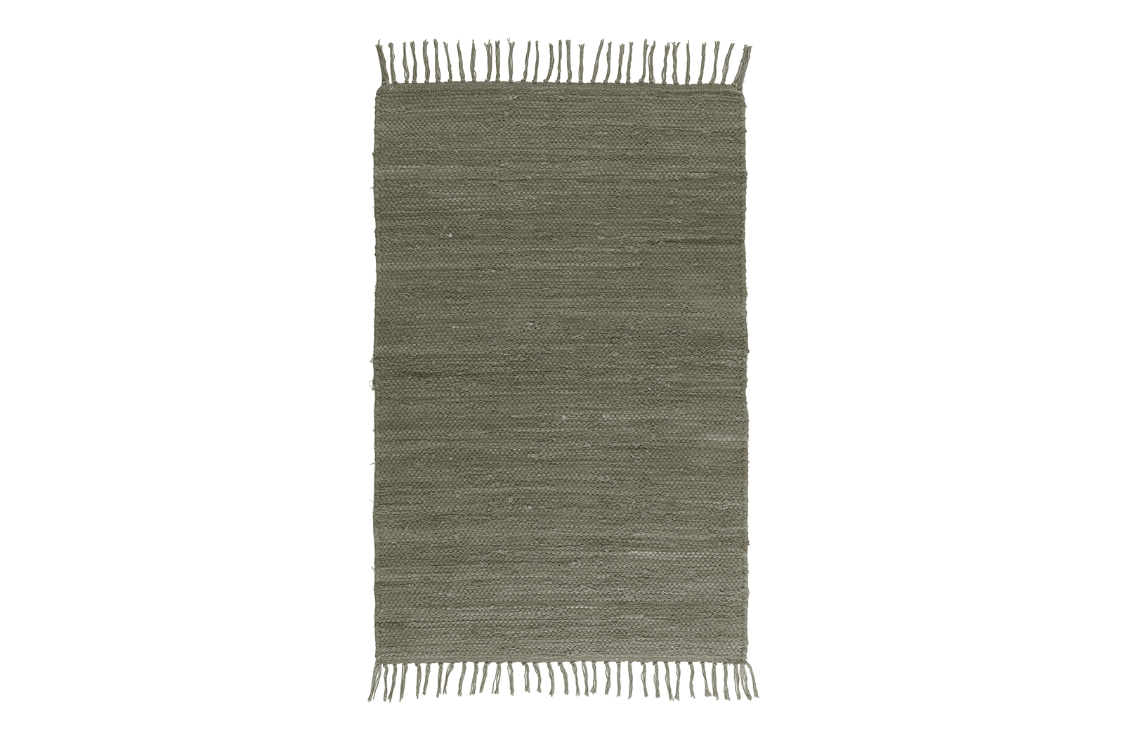 Anine rye