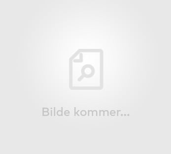 Skap en stilfull hage i sommer med Skeidars ekspertise